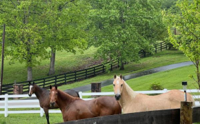 Nicura Ranch Inn & Stables